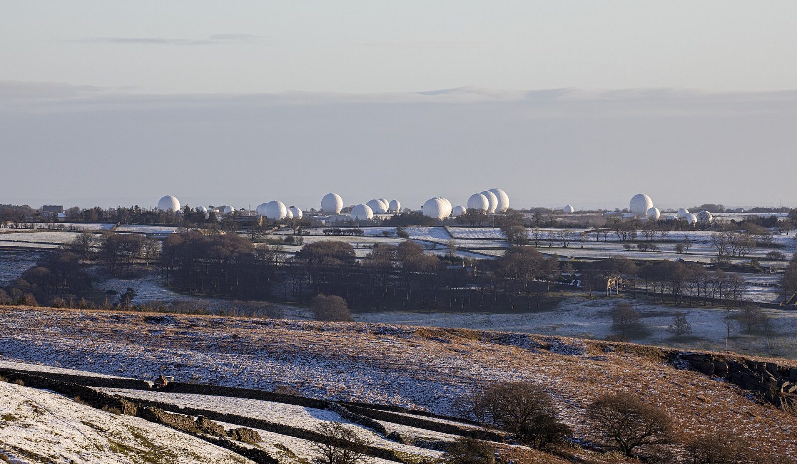 Rows of white radome domes at a sovereign signals-intelligence and satellite communications station, representing protected national network infrastructure